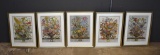 Lot of 5 Framed Decorator Prints, Month's Flowers