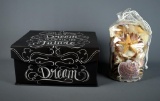 Dream Box & Sea Shell Collection