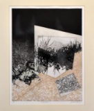 Jeanet Dreskin (American, LA/SC, 1921- ) “Dream Garden,” Etching, Artist Proof, Titled and Signed