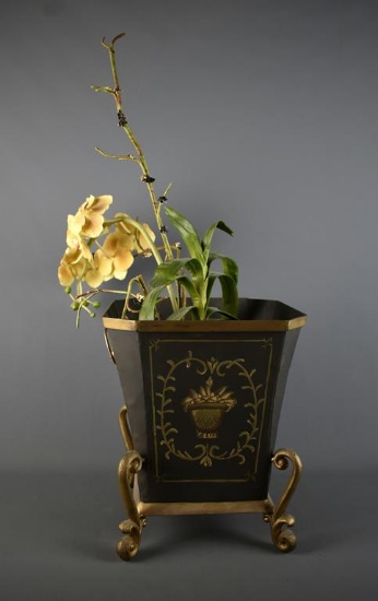 Lion's Head Cache Pot with Orchid