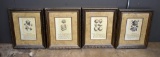 Set of 4 Matching Framed Seashell Prints