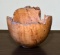 Live Edged Spalted Maple Burl Bowl, Marked