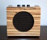 Tino Multi-Functional Mini Amplifier