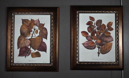 Raschella Collection, “Sylvan Profiles I” & “Sylvan Profiles II” Framed Prints