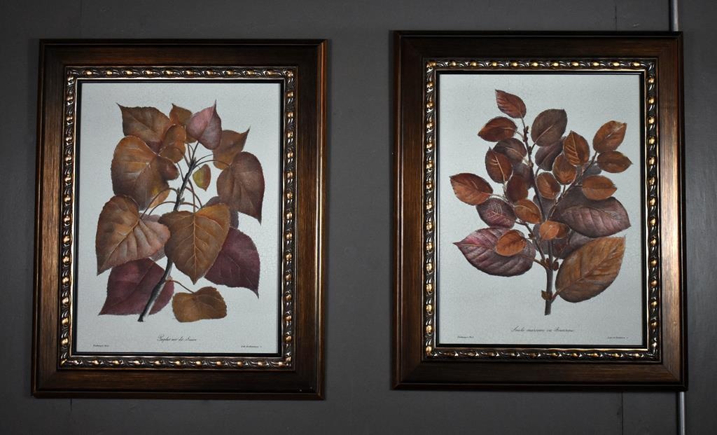 Raschella Collection Sylvan Profiles I Sylvan Profiles Ii Framed Prints Art Antiques Collectibles Art Prints Posters Online Auctions Proxibid