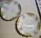 Pair of Antique Limoges France Hand Painted Plates