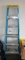 Werner 6 Ft Aluminum Ladder