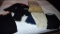 Lot of Ladies Skirts & Suit (Sizes 4 & 6)