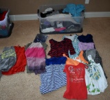 Large Lot of Ladies Tops, Tees, & Sweaters (Size S & SP): All Seasons