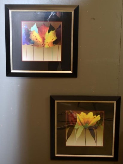 Pair of Contemporary Framed Botanical Decorator Art