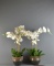 Pair of Pretty Artificial Orchids in Matching Pots