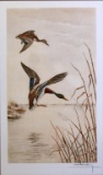 Leon Danchin (French 1887-1938) “Ducks In Marsh” Artist Signed Etching, Signed Lower Right