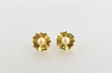 Pair of 14K Yellow Gold & Pearl Earrings