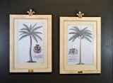 Prince & Princess of Wales, Palms, Framed Decorative Art Prints