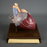 Vintage Aldomet Human Heart Medical Model, by Merck & Co. 1977