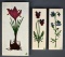 Set of Three Ceramic Art Tiles Marked “Made in Virginia” and Signed “Z.I.R.” or “Z.T.R.”