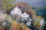 Enhanced Giclee on Canvas “Eternal Spring” by Alan McCarter, Hendersonville NC Artist, Gilded Frame