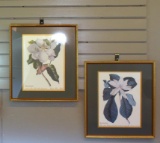 Pair of Magnolia Blossoms Decorative Prints, Gilded Frames