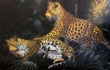 Large Decorative Jaguar / Leopard Print, Black & Gilded Frame