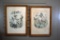 Pair of Original 19th C. Edouard Travies (French) Colored Lithographs, La Mesange Bleue &  Le Padda