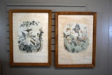 Pair of Original 19th C. Edouard Travies (French) Colored Lithographs, La Mesange Bleue &  Le Padda