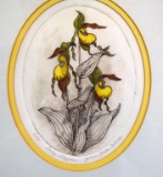 JoAnn Jacks Cataldo (Amer., Contemporary) “Lady Slippers” Hand Tinted Etching (16/75), Artist Signed