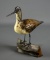 Hand Carved & Painted 6.5 x 6” L Water Bird on Drift Wood, Signed Hugh Norman, Port Royal SC