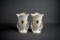 Pair of Vintage Ceramic Vases