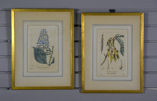 Pair of Antique Colored Botanical Engravings of Pancrace Bessa Originals