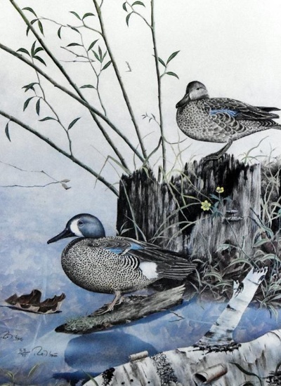 Rob Gwynn Ltd. Ed (33/75) Artist Proof Print of Ducks, Professionally Framed by Peggy Gwynn