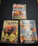 Lot of 3 Vtg.  Horse Titles: “Wild Palomino”, “The Black Stallion Returns” & “Indian Paint”
