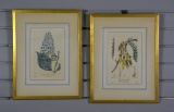 Pair of Antique Colored Botanical Engravings of Pancrace Bessa Originals