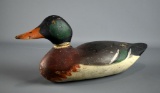 Vintage 6.5 x 16.5” L Mallard Duck Decoy w/ Swivel Head