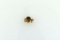 “SDP” Monogram 14K Lapel Pin