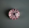Beautiful Murano Venetian 2” Diam. Pink Ribbon & Latticino Glass Paperweight