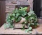 Decorative Faux Ivy in Metal Planter with Woven Style Decorative Lidded Box
