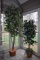 Pair of Faux Potted Trees