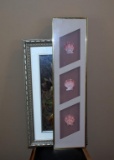 Two Framed Wall Decor Items: Floral Print and Shell Display