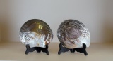 Pair of Carved Black Mother of Pearl Shells: Dolphin & Sea Turtle
