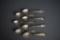 Seven Iowa Sterling Silver Souvenir Spoons, 170 g