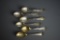 Six Michigan Sterling Silver Souvenir Spoons, 130 g