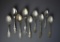 Nine Missouri Sterling Silver Souvenir Spoons, 167 g
