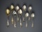 Nine New Hampshire Sterling Silver Souvenir Spoons, 165 g