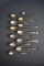 12 Pennsylvania Sterling Silver Souvenir Spoons, 230 g