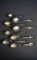 Eight Virginia Sterling Silver Souvenir Spoons, 154 g