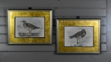 Pair Antique Lilian M. Medland Hand Colored Shorebird Prints, Framed