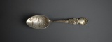 Arizona Sterling Silver Souvenir Spoon, 17 g