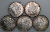 Lot of Five Circulated 1896 Morgan Silver Dollars