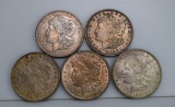 Lot of Five Circulated 1921 Morgan Silver Dollars