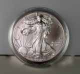 Mint US 2012 Silver American Eagle Coin in Capsule